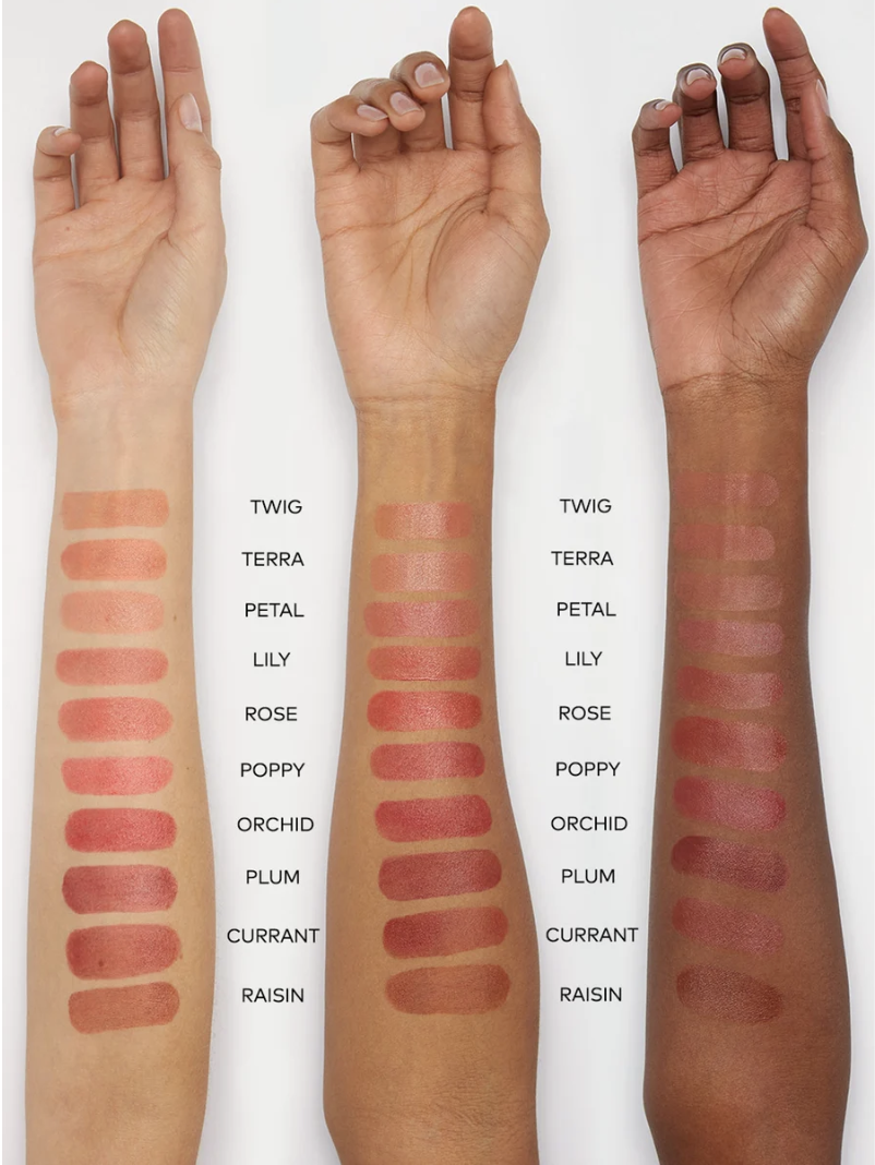 Beautycounter Sheer Lipstick Raw Beauty Talks